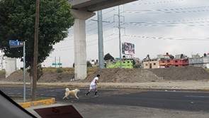 Imagen que contiene exterior, camino, hombre, edificio
Descripción generada automáticamente
