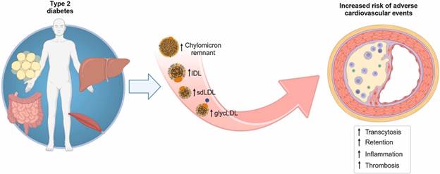 A diagram of a cell cycle









Description automatically generated